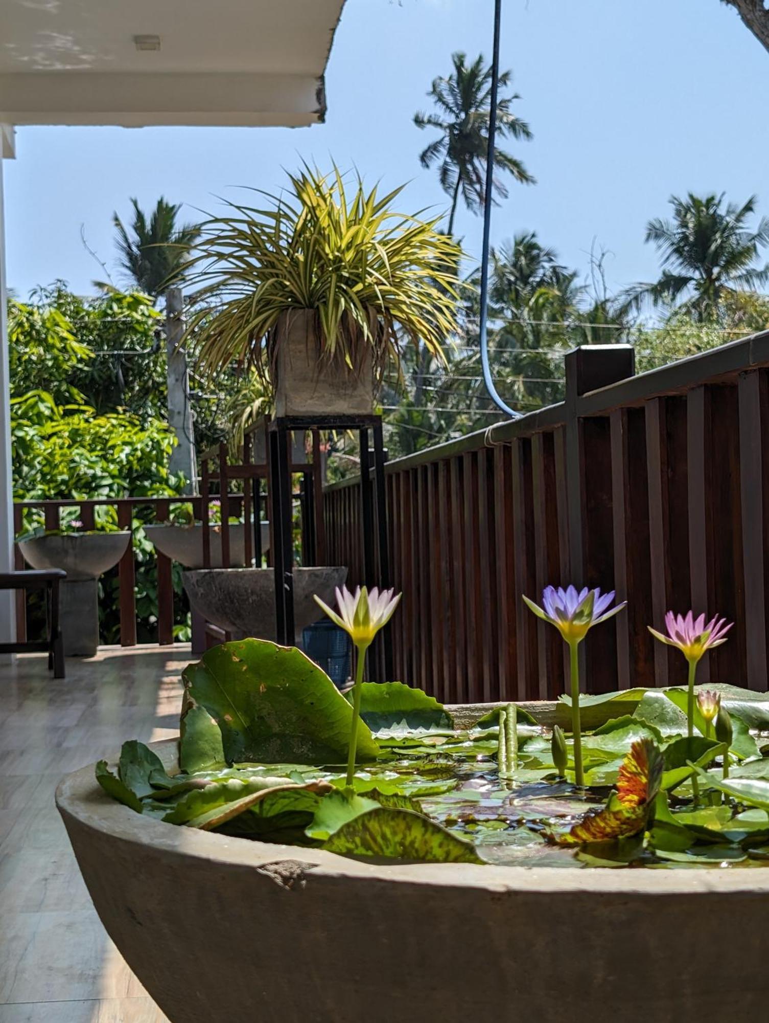 Sea Bay Inn Tangalle Exterior foto